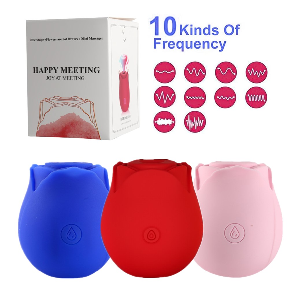 Rose Sucking Vibration Clit Sucker Dildo Women G-Spot Massager SexToy For Women USB Magnetic Charging